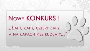 Fan na czterech łapach - konkurs!