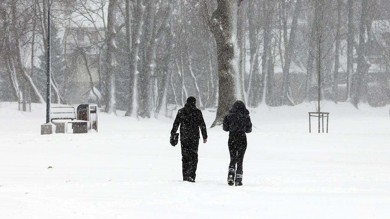 ¿Cómo será el invierno?  Pronóstico a largo plazo: diciembre de 2022 – marzo de 2023. Pronósticos meteorológicos mostrados en IMGW.