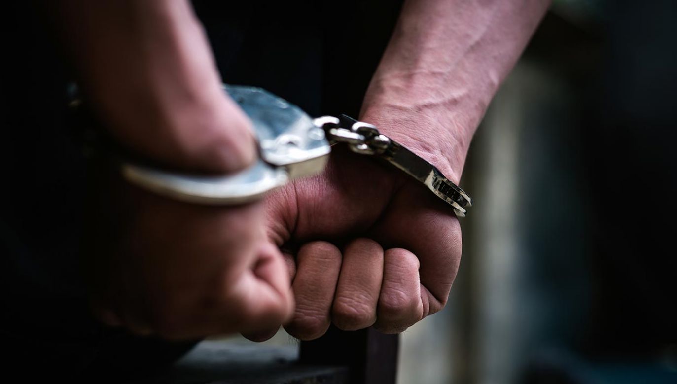 Policja zatrzymała przestępców i skonfiskowała mafijny majątek (fot. Shutterstock/CC7)