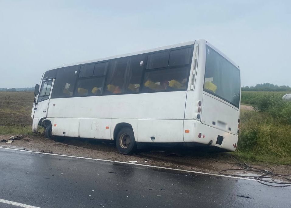 Аўтобус з дзецьмі, які трапіў у ДТЗ у Вялейскім раёне. (Фота: УВД Минского облисполкома / Telegram)