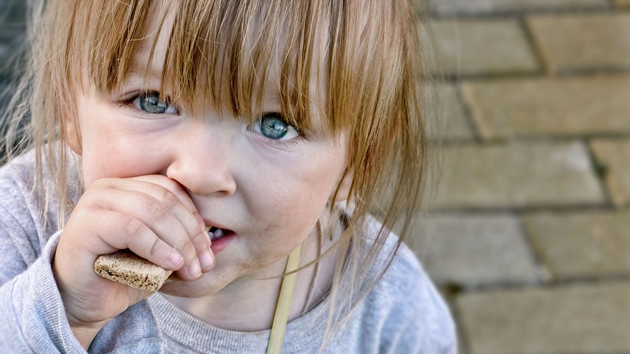 Udało się ustalić, jak przywrócić życie w zniszczonych jelitach (fot. Shutterstock/Slava Samusevich) Udało się ustalić, jak przywrócić życie w zniszczonych jelitach (fot. Shutterstock/Slava Samusevich)