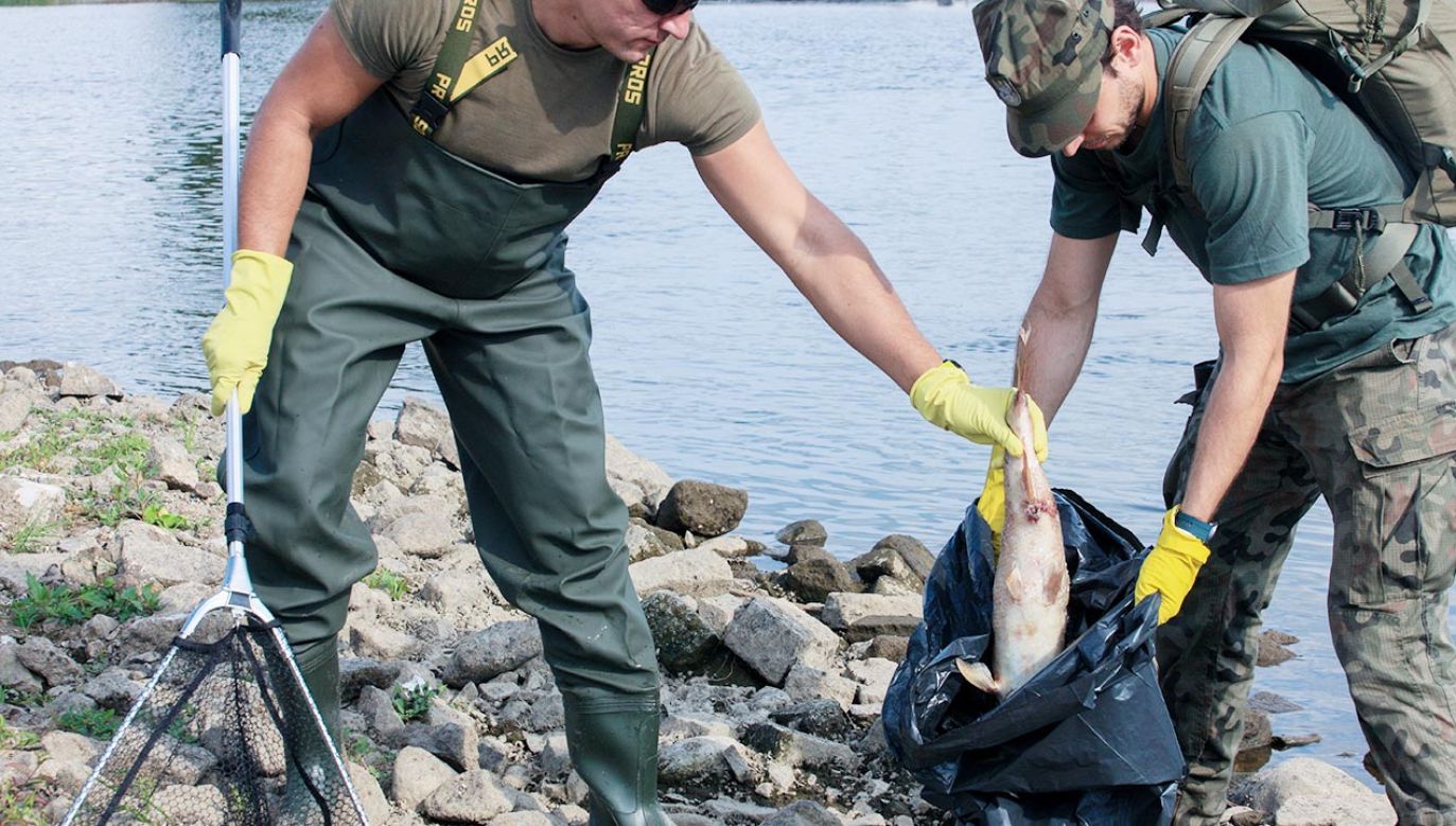 Znaleziono „sprawcę” wymierania ryb w Odrze(fot. PAP/Lech Muszyński)