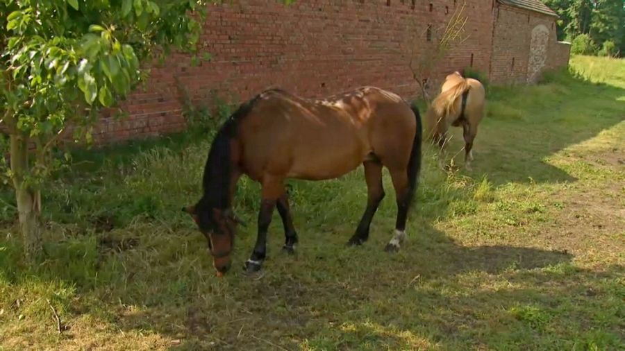 fot. TVP3 Gorzów Wlkp.