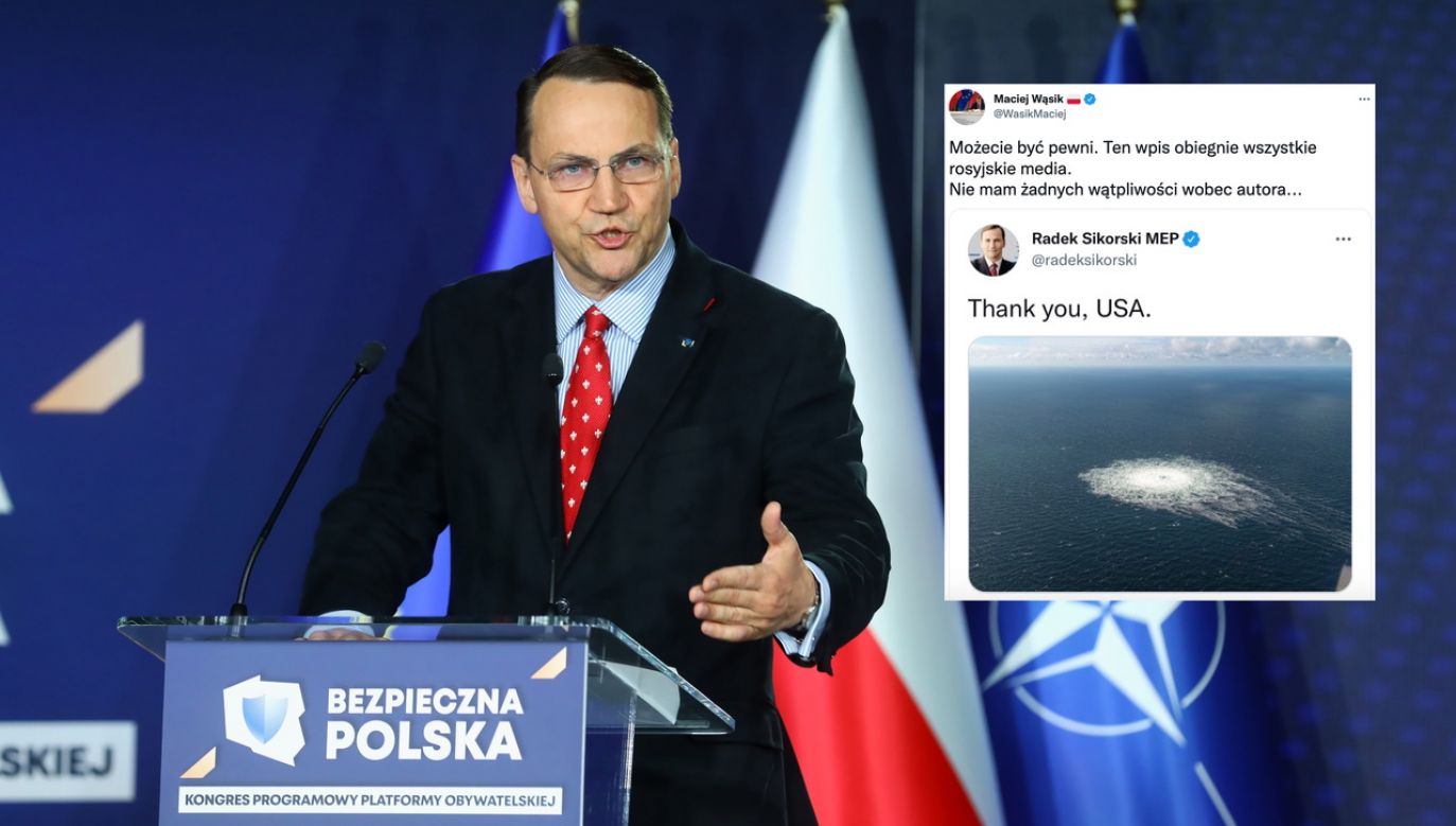 Europoseł PO Radosław Sikorski o Nord Stream. Maciej Wąsik komentuje (fot. PAP/Rafał Guz)