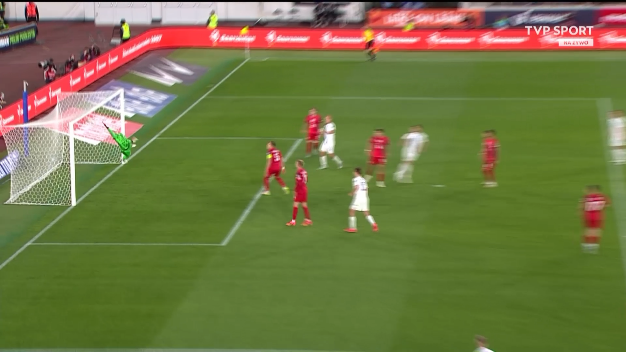 (fot. TVP Sport)