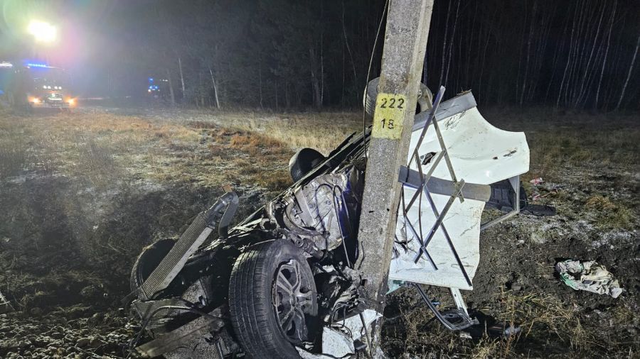 Wypadek na przejeździe kolejowym. Samochód wjechał pod pociąg - fot. PSP Jędrzejów