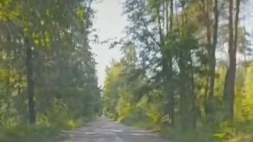 Дарога, на стан якой скардзіўся жыхар Светлагорску. Фота: sn.by