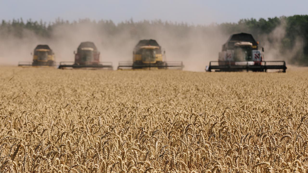 Polscy rolnicy dostaną 29,5 miliona euro z unijnego budżetu (fot. Pavlo Pakhomenko/NurPhoto via Getty Images)