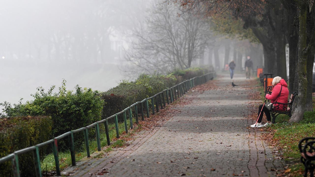 Idzie jesień (fot. PAP/Darek Delmanowicz) Idzie jesień (fot. PAP/Darek Delmanowicz)