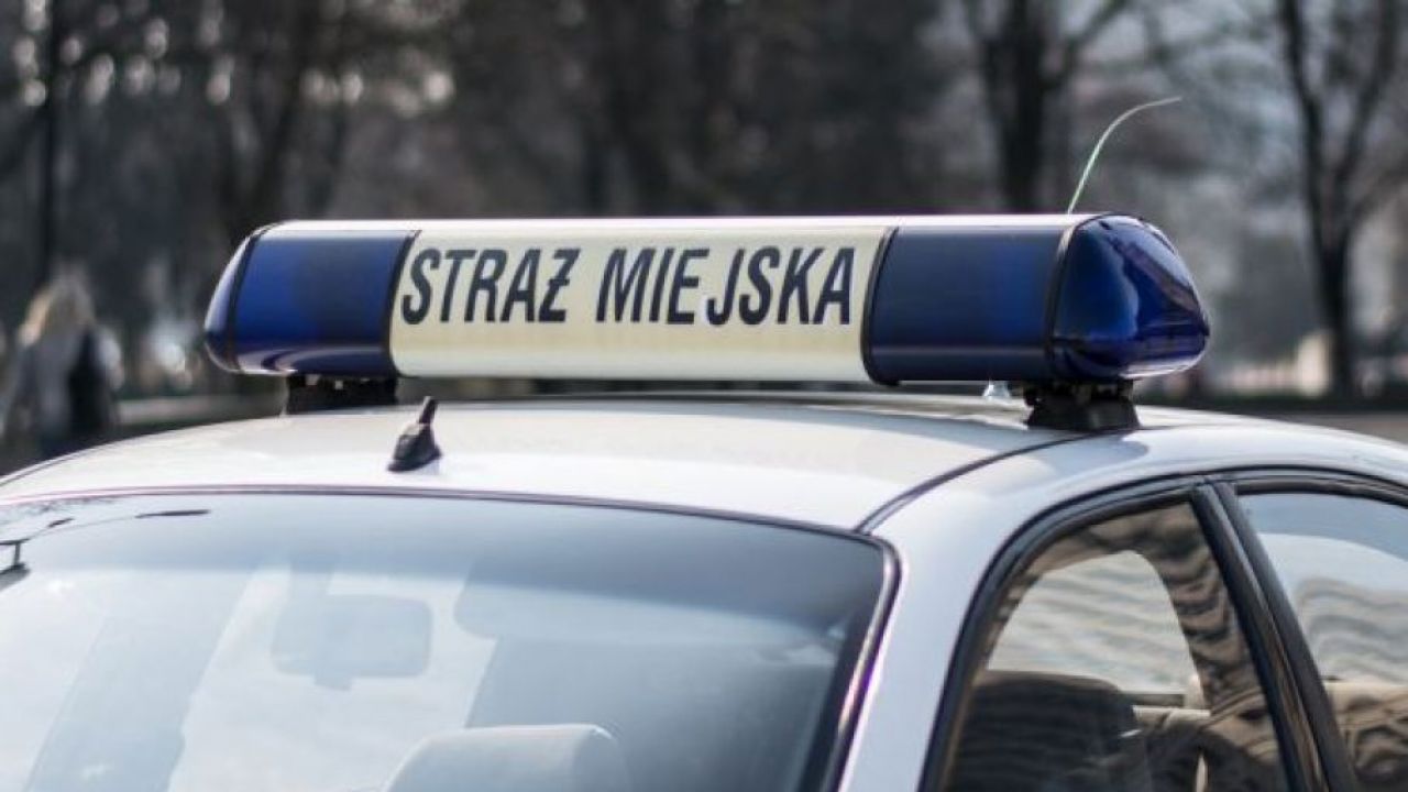 Dwóch strażników zostało zatrzymanych na zrywaniu banerów i plakatów (fot. tvp.info/Piotr Król)
