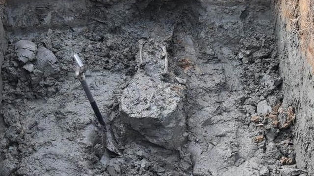 Operator koparki, na głębokości kilkudziesięciu centymetrów odkopał ludzkie kości (fot. Policja)