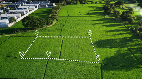 Determination of the boundaries of the land plot. Photo: brestcity.com
