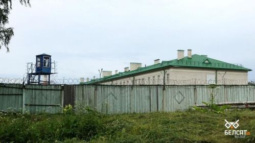 Віцьба
