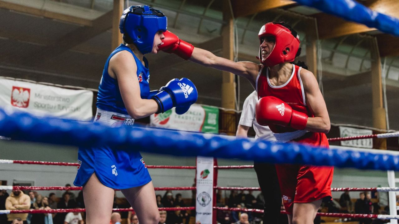 Mistrzostwa Polski Amatorów w boksie (materiał prasowy)