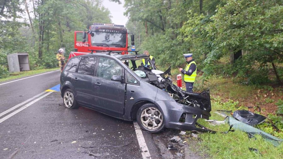 Piotrówka, wypadek, dk 39 (fot. KPP Kępno)