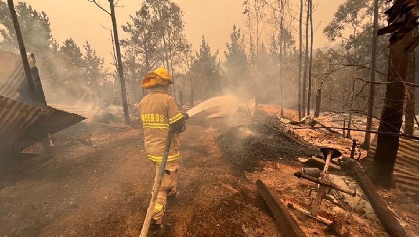 Tysiące strażaków walczy z szalejącymi pożarami w Chile. (Fot. Twitter/emol.com)