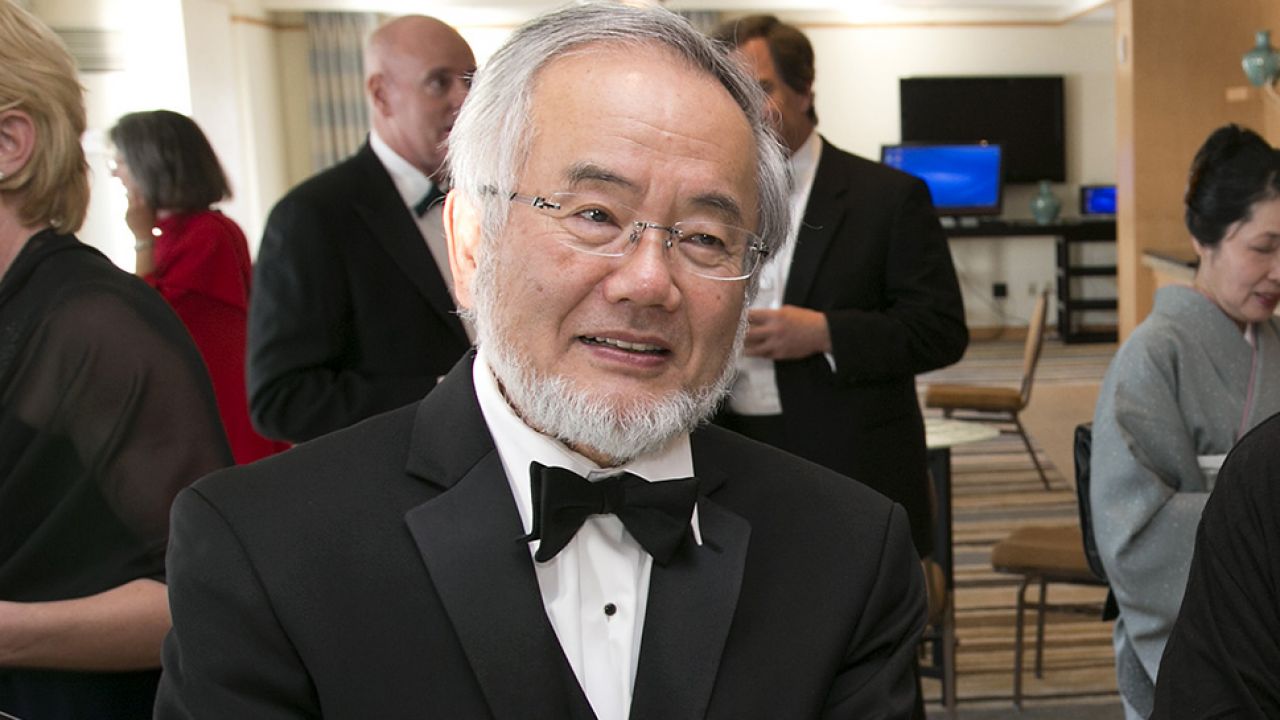 Yoshinori Ohsumi jest emerytowanym profesorem na japońskim Uniwersytecie Technologii w Jokohamie. (fot. flickr.com/ Kyoto Prize USA)