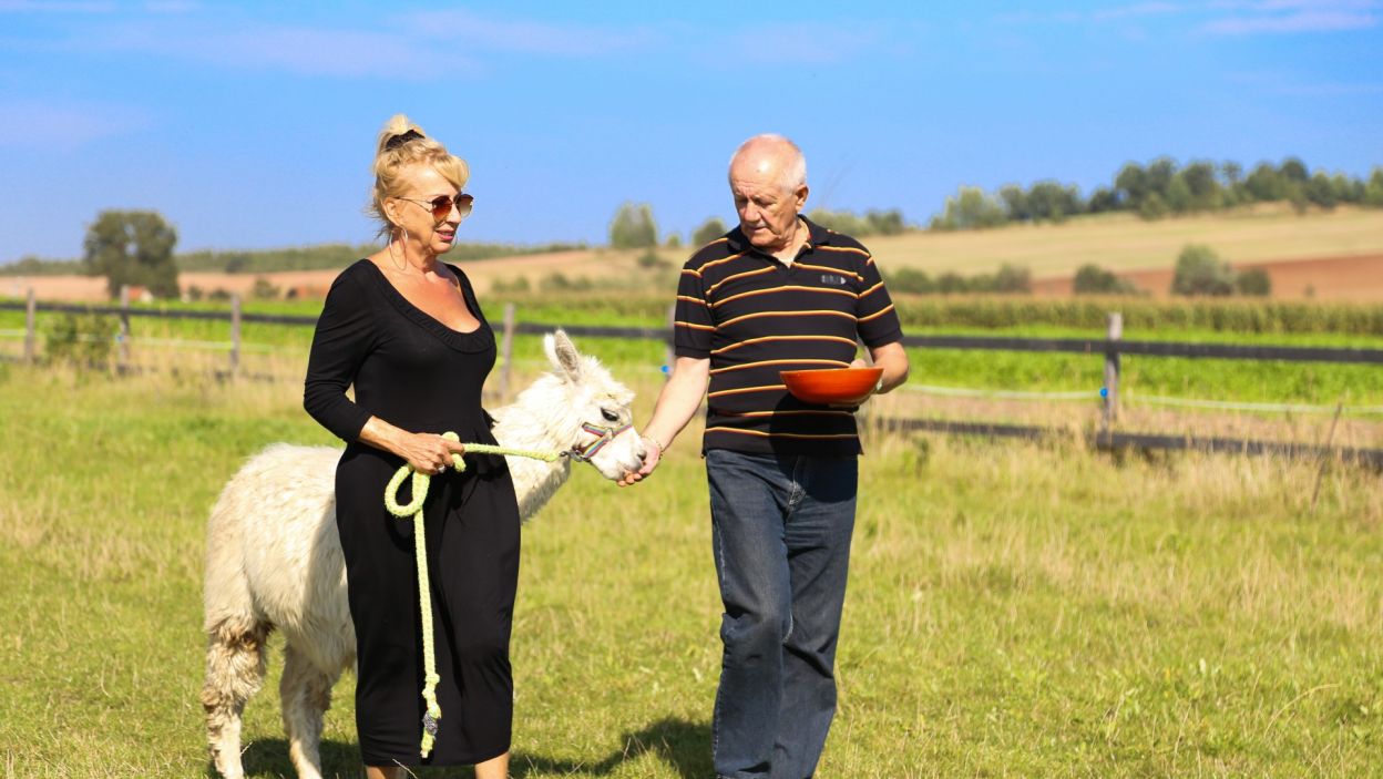 Podczas spaceru doszło do przykrej rozmowy między Jadwigą a Edwardem, podczas której kobieta odrzuciła zaloty mężczyzny. Jak zniósł to nasz uwodziciel? (fot. TVP)