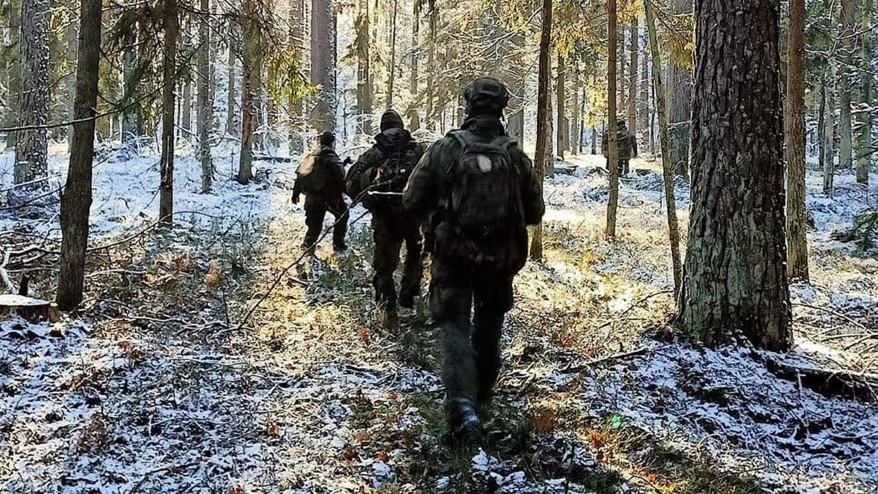 Akcja służb (fot. tt/@terytorialsi) Akcja służb (fot. tt/@terytorialsi)