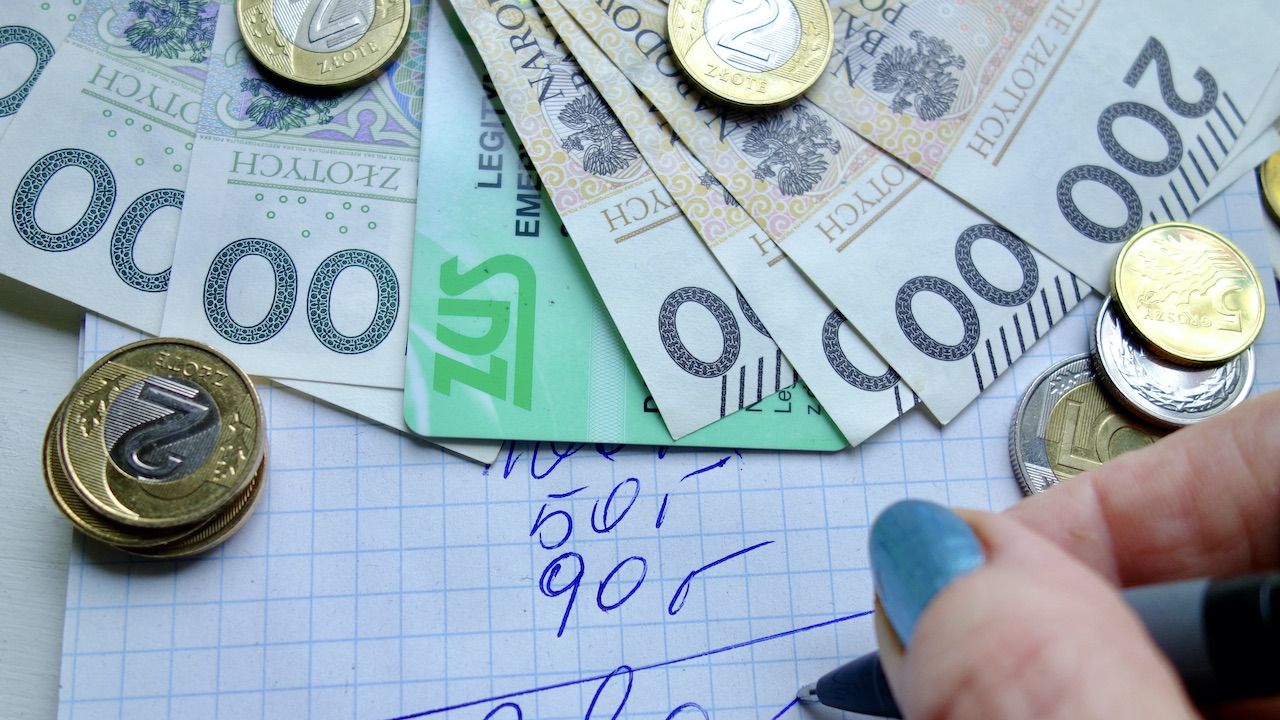 Dr Krysiak ocenia Polski Ład (fot. Shutterstock/ Mariola Anna S) Dr Krysiak ocenia Polski Ład (fot. Shutterstock/ Mariola Anna S)