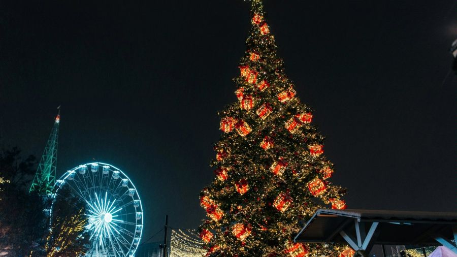 (fot. poznan.pl)