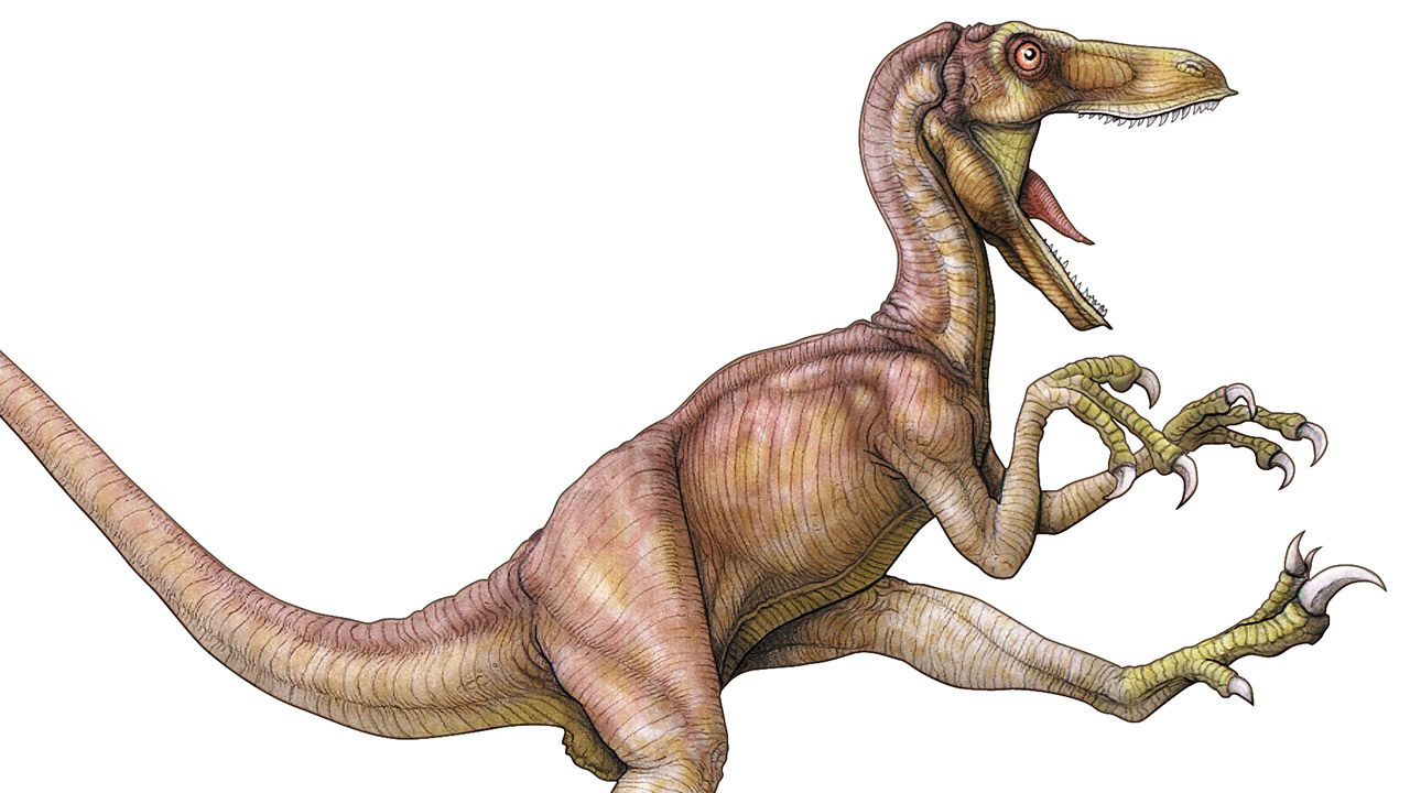 Mikroraptory były niewielkimi, drapieżnymi dinozaurami (fot. Encyclopaedia Britannica/UIG Via Getty Images, zdjęcie ilustracyjne)