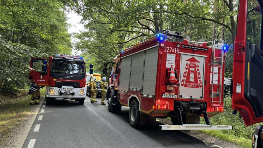 Radzewo, wypadek, samochód wypadł z drogi, w środku kobieta z dzieckiem (fot. OSP Kórnik)