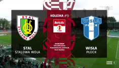 Stal - Wisła