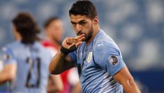 Copa America 2021 transmisje online w TVP Sport
