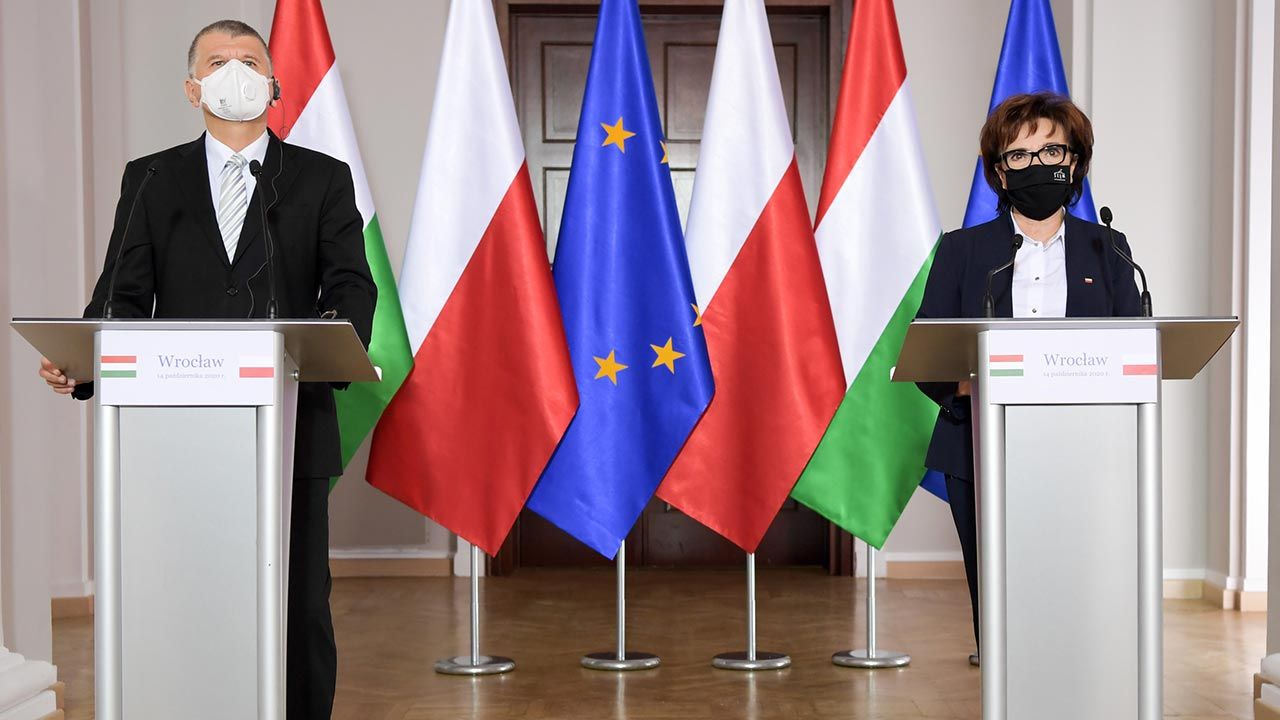 „Naszym zdaniem jest to całkowicie sprzeczne z traktatami o Unii Europejskiej” (fot. Twitter/Sejm RP) „Naszym zdaniem jest to całkowicie sprzeczne z traktatami o Unii Europejskiej” (fot. Twitter/Sejm RP)