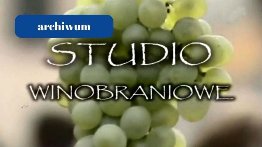Studio Winobraniowe