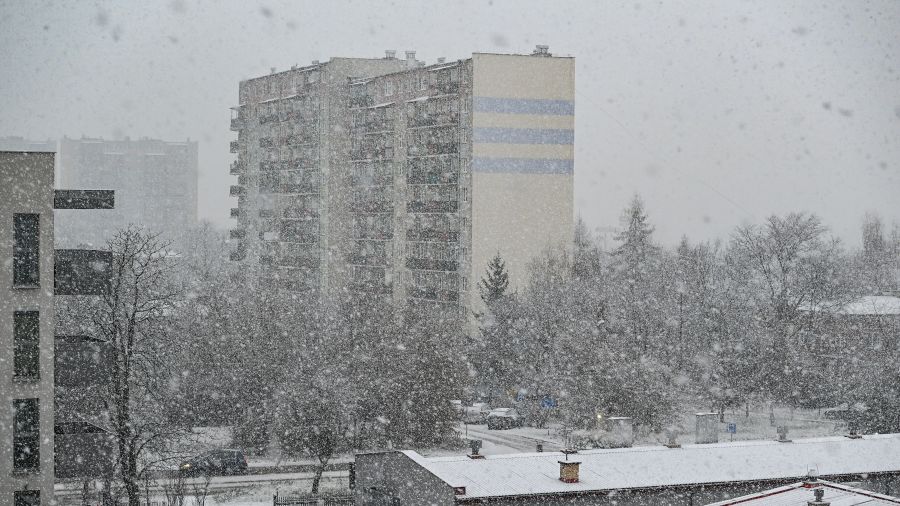 Sprawdź prognozę synoptyków / fot. Wojtek Jargiło, PAP