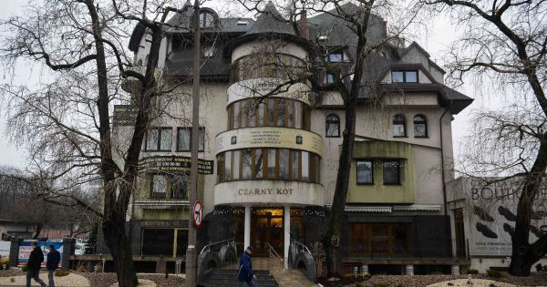 Bajka O Czarnym Kocie Mial Dziewiec Zyc Czy Narodzi Sie Po Raz