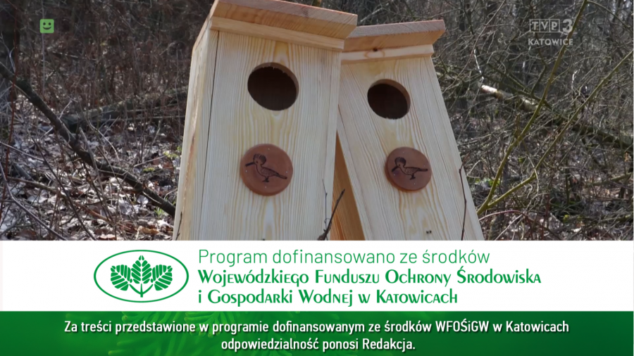 Fot. TVP3 Katowice