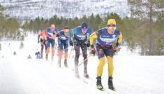 Biegi narciarskie, Ski Classics – Grand Finale Summit 2 Senja, 60 km, Bardufoss – Finnsnes, Norwegia. Transmisja online na żywo w TVP Sport (30.03.2025)
