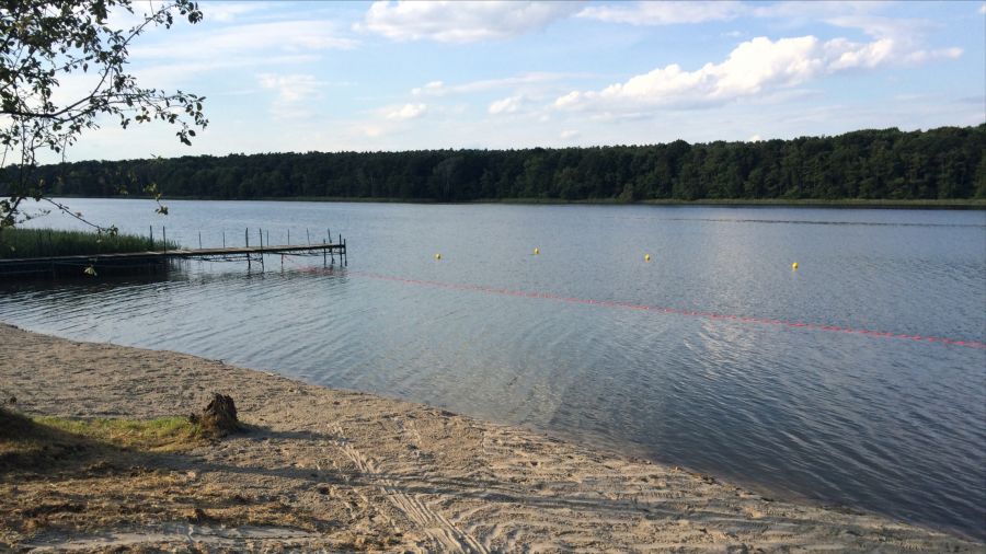 Kolejne wielkopolskie kąpielisko z sinicami (fot. UM Mosina)
