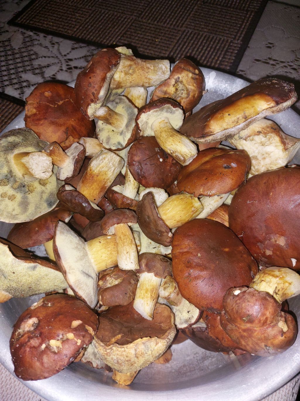 Польские боровики, Брест, 13 ноября. Фото: Группа ВК «Грибы: грибные войска Беларуси»