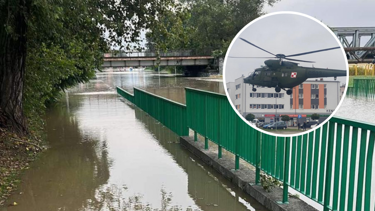 (fot. Robert Prygiel) (fot. Robert Prygiel)