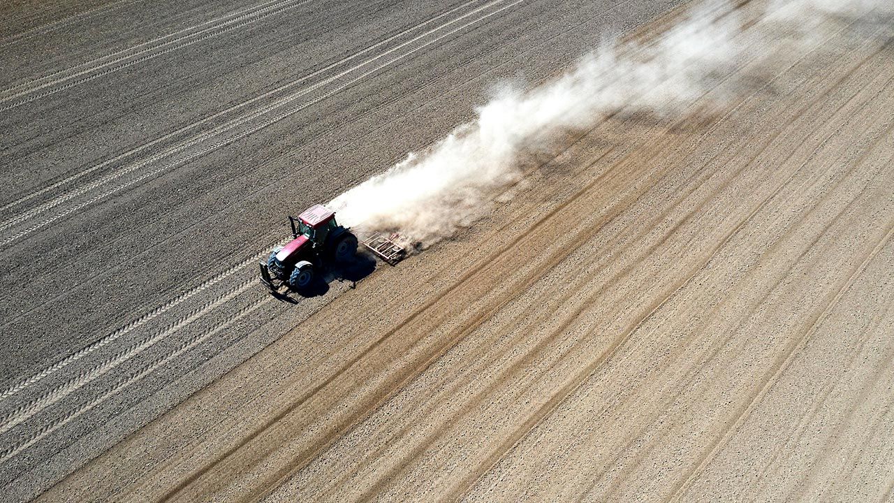 Minister uważa, że w perspektywie najbliższych lat, walka z suszą będzie prowadziła do zwiększania nawodnień, przede wszystkim w niektórych intensywnych uprawach ogrodniczych, sadowniczych i warzywnych (fot. PAP/Darek Delmanowicz) Minister uważa, że w perspektywie najbliższych lat, walka z suszą będzie prowadziła do zwiększania nawodnień, przede wszystkim w niektórych intensywnych uprawach ogrodniczych, sadowniczych i warzywnych (fot. PAP/Darek Delmanowicz)