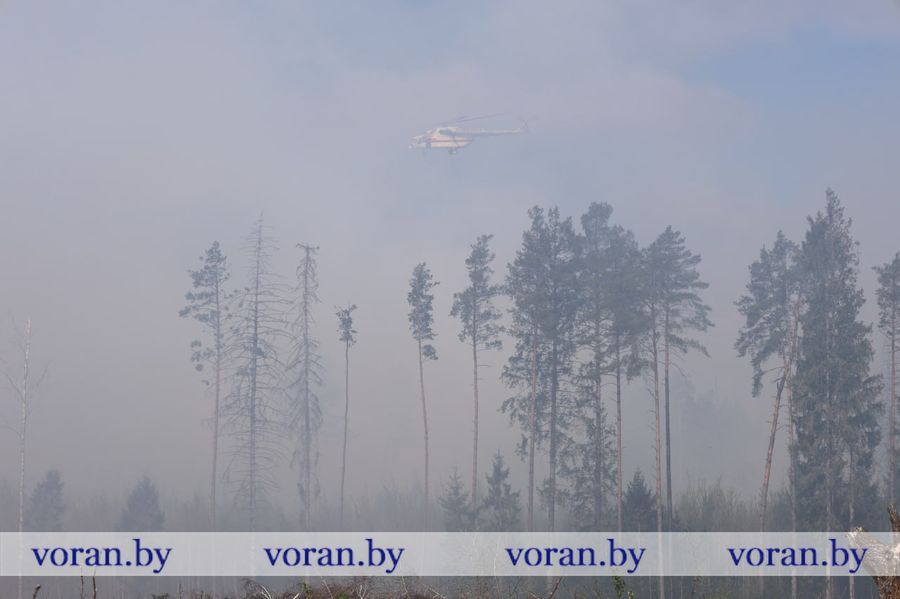 Лясны пажар у Воранаўскім раёне. Фота: voran.by