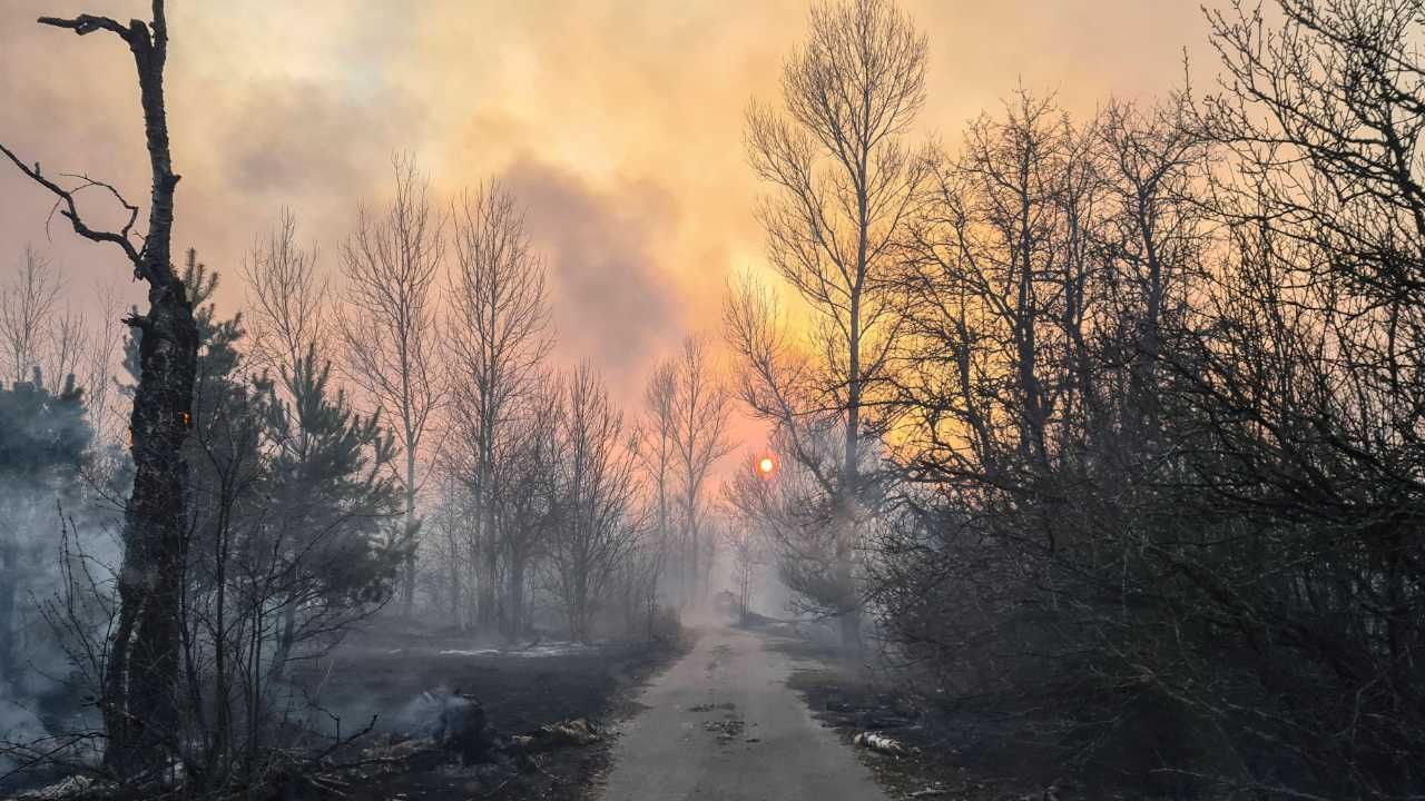 Ogień strawił kilkadziesiąt budynków i 4,3 tys. ha terenu (fot. arch.PAP/EPA/YAROSLAV YEMELIANENKO) Ogień strawił kilkadziesiąt budynków i 4,3 tys. ha terenu (fot. arch.PAP/EPA/YAROSLAV YEMELIANENKO)