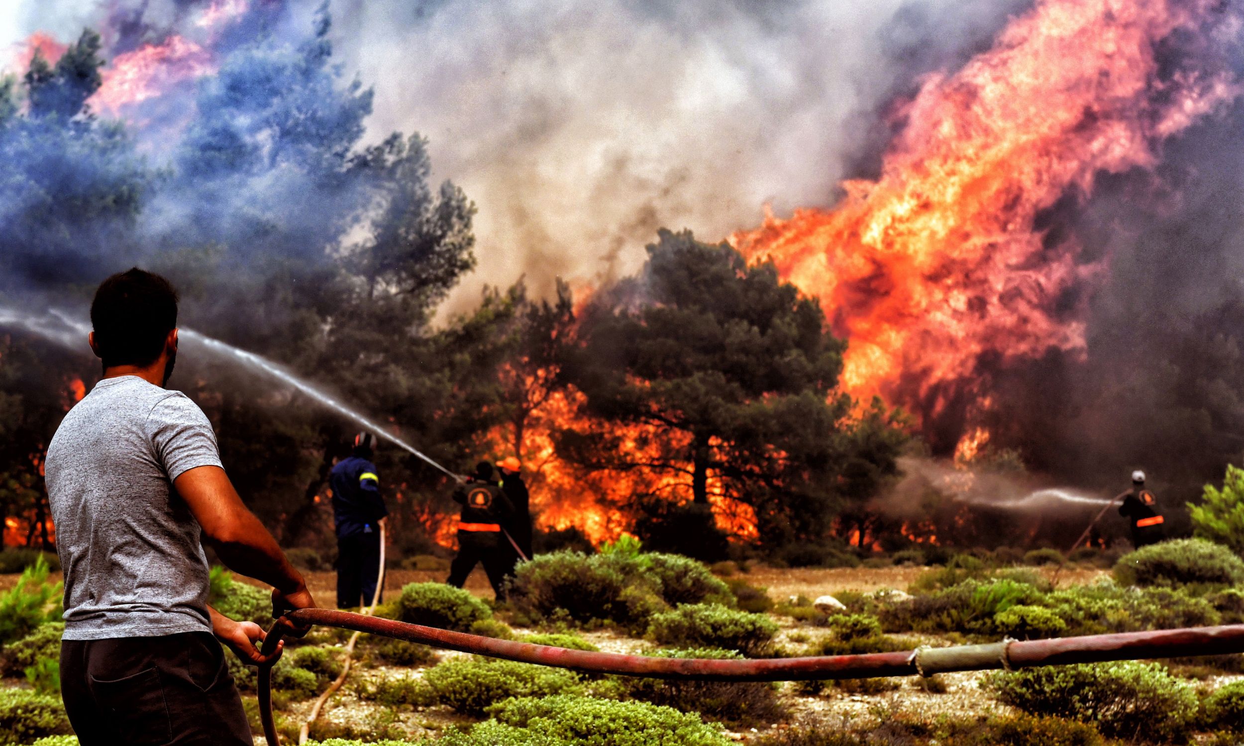 24 lipca 2018 r. Strażacy i wolontariusze próbują ugasić pożar w Verori, w pobliżu miasta Loutraki na Peloponezie w południowej Grecji. Władze ewakuowały ludzi z okolic Loutraki i obozu dla dzieci w rejonie Alepohori po wybuchu ognia w Kineta. Dwa najwięsze pożary w Kineta i Kallitechnoupolis, doprowadziły do śmierci co najmniej 74 osób. Do Kineta posłano 150 strażaków z 74 wozami, samoloty przeciwpożarowe i helikoptery. Fot. PAP/EPA / VASSILIS PSOMAS