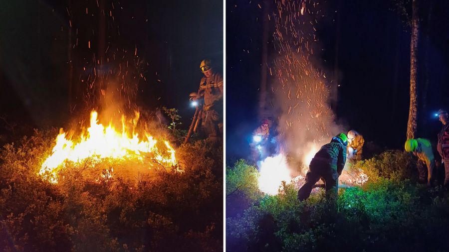 Seria pożarów w Nadleśnictwie Kliniska. 5 tys. zł nagrody za pomoc w ujęciu podpalacza