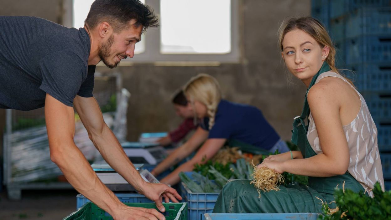 Kandydatki Darka mogły się przekonać, jak wygląda dzień w gospodarstwie nastawionym na uprawę warzyw (fot. TVP)