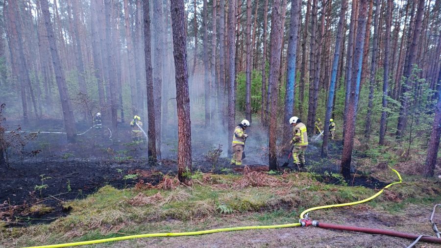 W lasach wciąż sucho. Wysokie zagrożenie pożarowe i spadający poziom wód (fot. OSP Reptowo)