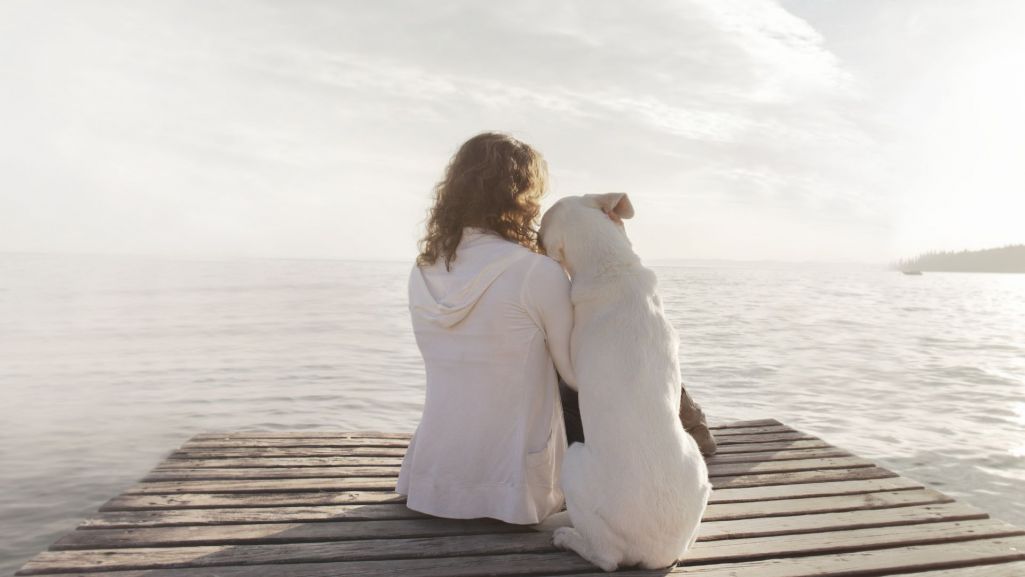 Kontakt z psem zaspokaja ludzką potrzebę odczuwania emocjonalnego ciepła. Fot. Nina Buday/Shutterstock