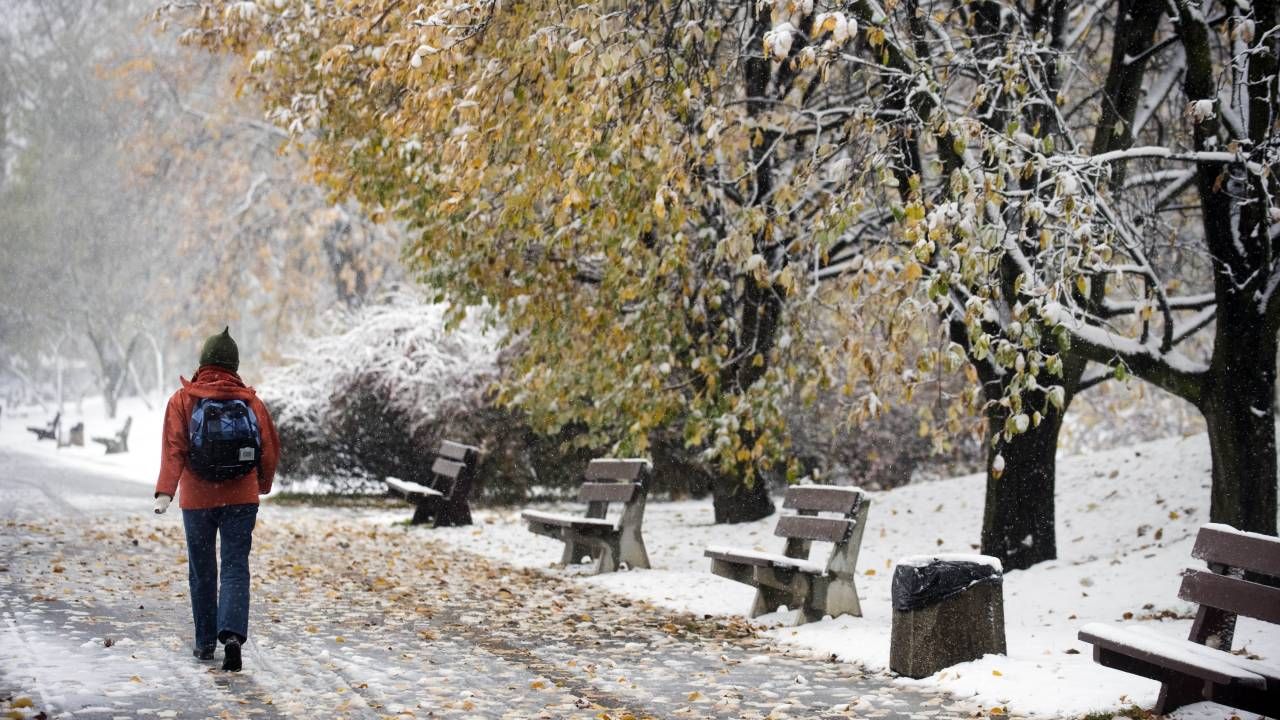 IMGW o prognozie na jesień 2021 (fot. Forum/Taida Tarabula) IMGW o prognozie na jesień 2021 (fot. Forum/Taida Tarabula)