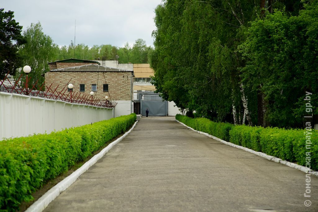 Здымак мае ілюстрацыйны характар. Светлагорскі ЛПП. (Фота: gp.by)