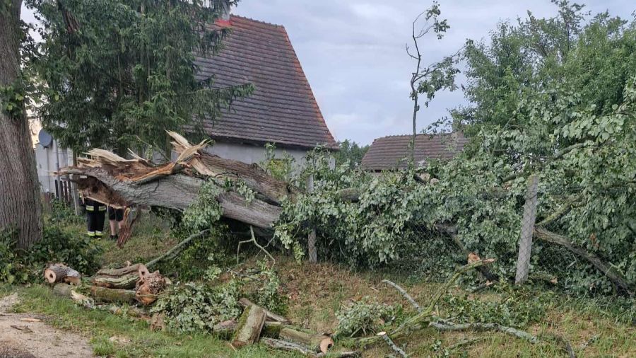 Burze i silny wiatr w Wielkopolsce, ponad 500 interwencji straży pożarnej (fot. OSP Jastrowie/Facebook)
