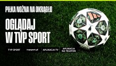(fot. TVP Sport)